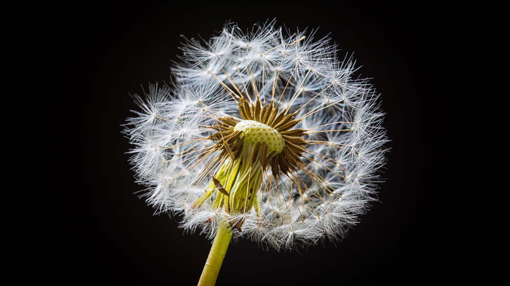 Platz 7 Willi Bitzer